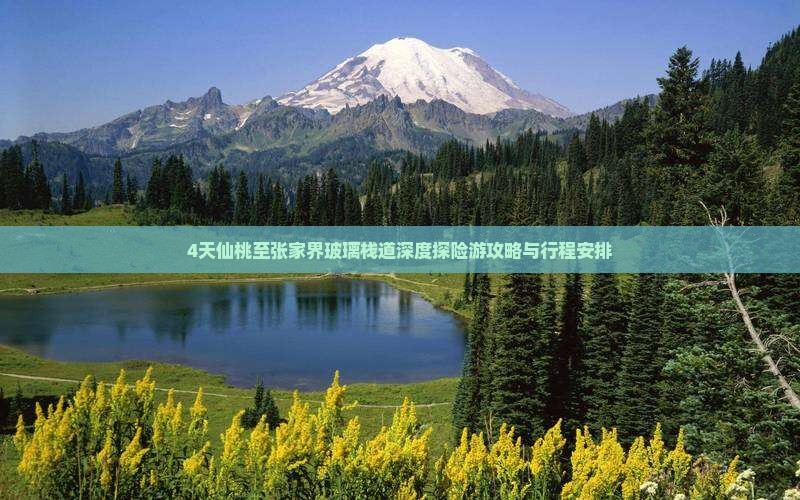 4天仙桃至张家界玻璃栈道深度探险游攻略与行程安排