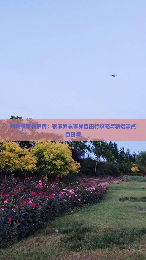 阿勒泰泰勒亲历：张家界袁家界自由行攻略与精选景点自由游