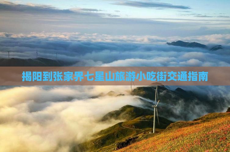 揭阳到张家界七星山旅游小吃街交通指南