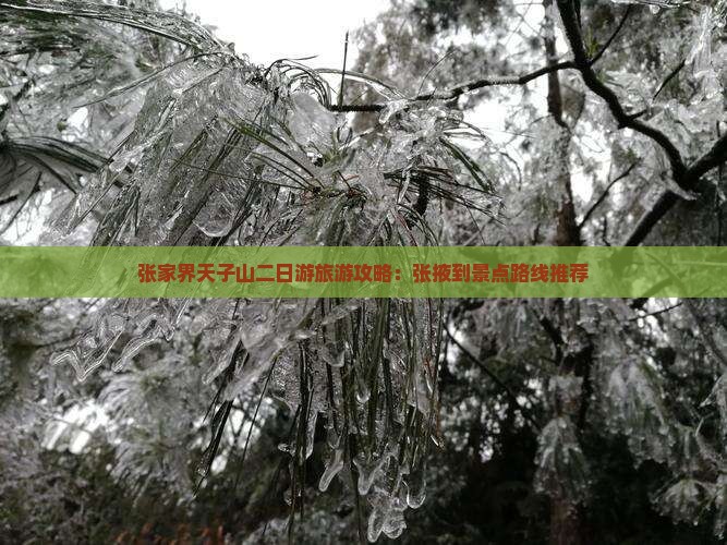 张家界天子山二日游旅游攻略：张掖到景点路线推荐