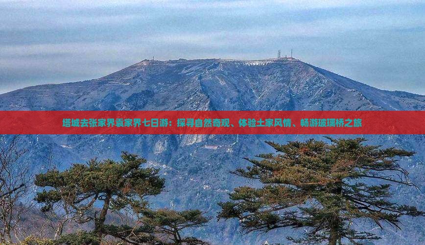 塔城去张家界袁家界七日游：探寻自然奇观、体验土家风情、畅游玻璃桥之旅