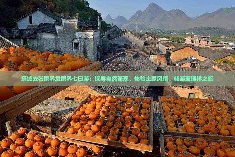 塔城去张家界袁家界七日游：探寻自然奇观、体验土家风情、畅游玻璃桥之旅