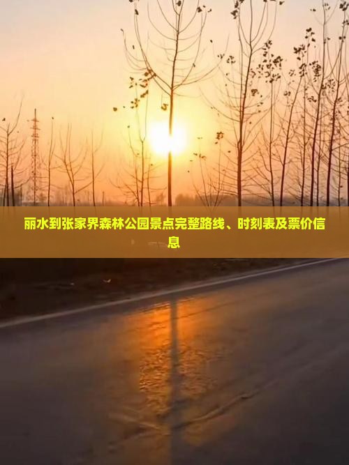丽水到张家界森林公园景点完整路线、时刻表及票价信息