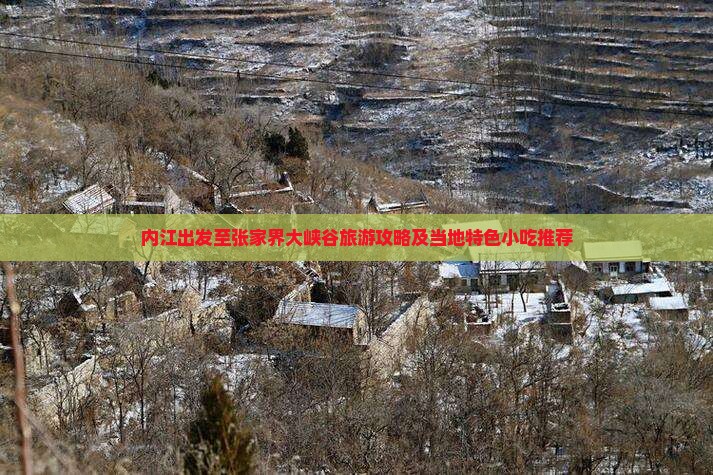 内江出发至张家界大峡谷旅游攻略及当地特色小吃推荐