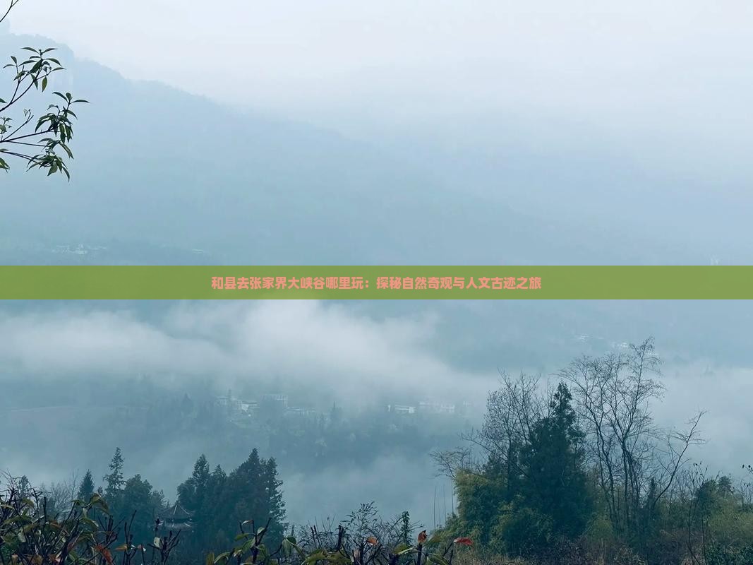 和县去张家界大峡谷哪里玩：探秘自然奇观与人文古迹之旅