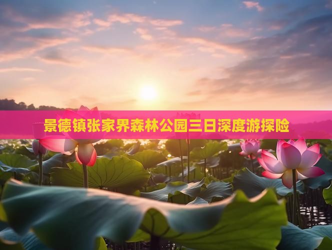 景德镇张家界森林公园三日深度游探险