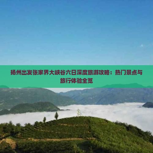 扬州出发张家界大峡谷六日深度旅游攻略：热门景点与旅行体验全览