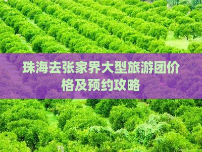 珠海去张家界大型旅游团价格及预约攻略