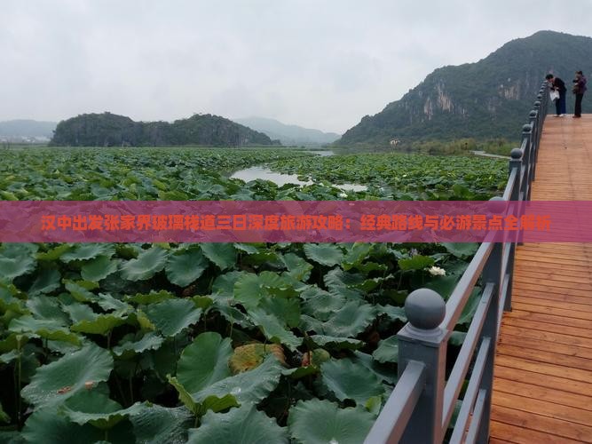 汉中出发张家界玻璃栈道三日深度旅游攻略：经典路线与必游景点全解析