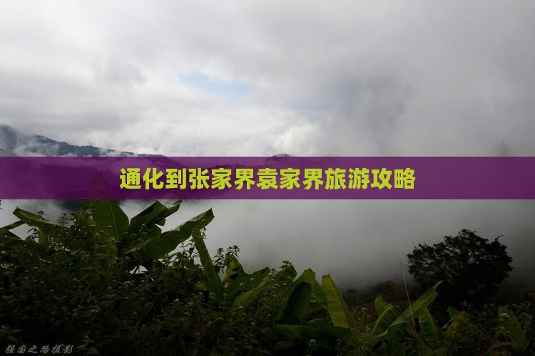 通化到张家界袁家界旅游攻略