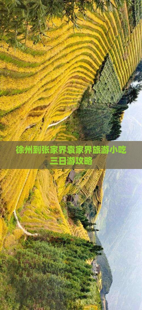 徐州到张家界袁家界旅游小吃三日游攻略