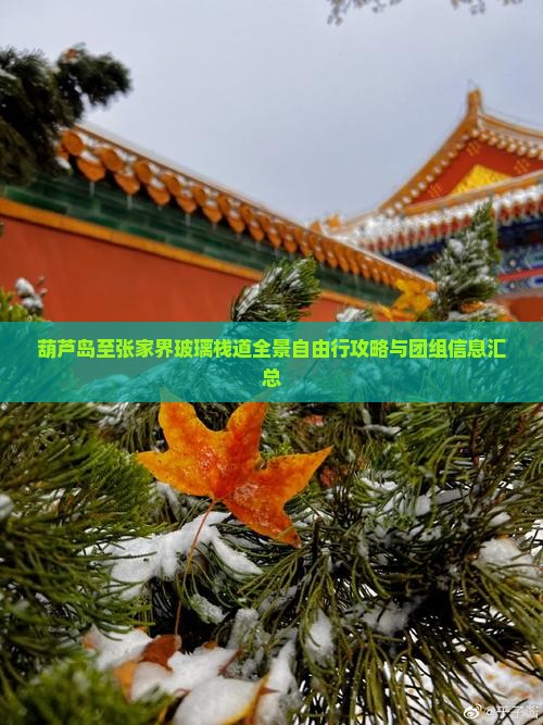 葫芦岛至张家界玻璃栈道全景自由行攻略与团组信息汇总