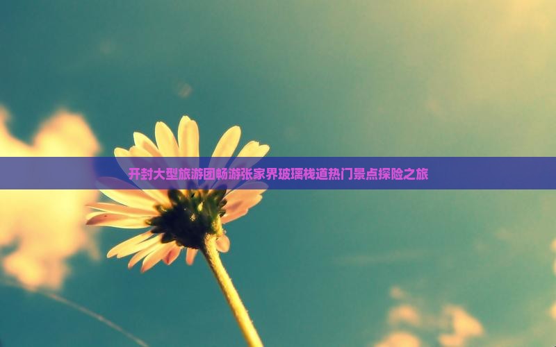 开封大型旅游团畅游张家界玻璃栈道热门景点探险之旅