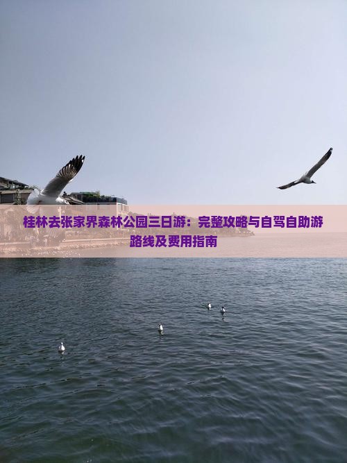 桂林去张家界森林公园三日游：完整攻略与自驾自助游路线及费用指南