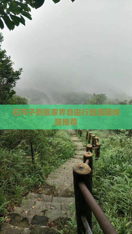 石河子到张家界自由行旅游团线路推荐
