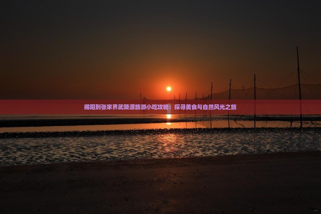 揭阳到张家界武陵源旅游小吃攻略：探寻美食与自然风光之旅