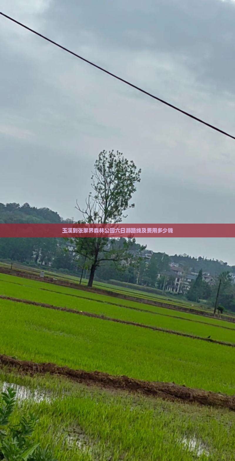 玉溪到张家界森林公园六日游路线及费用多少钱