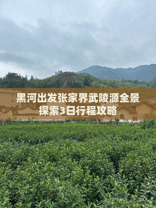黑河出发张家界武陵源全景探索3日行程攻略