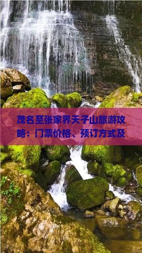 茂名至张家界天子山旅游攻略:门票价格、预订方式及交通指南 茂名至张家界天子山旅游攻略:门票价格、预订方式及交通指南
