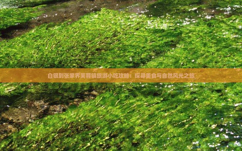 白银到张家界芙蓉镇旅游小吃攻略：探寻美食与自然风光之旅