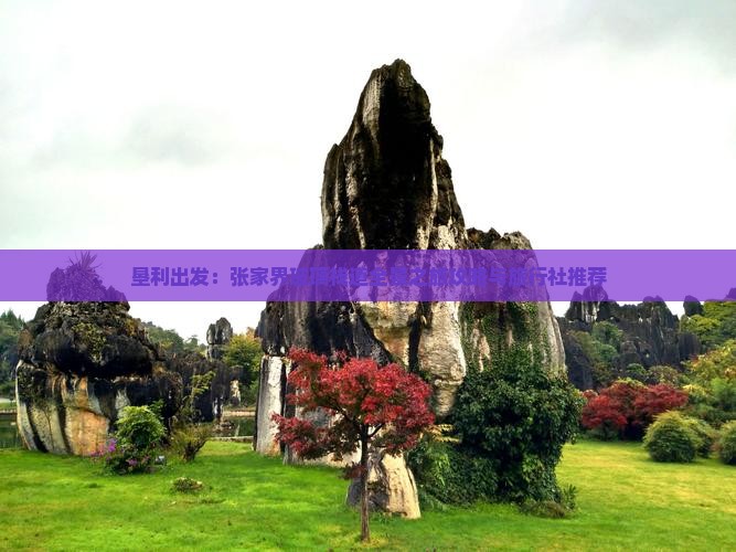 垦利出发：张家界玻璃栈道全景之旅攻略与旅行社推荐