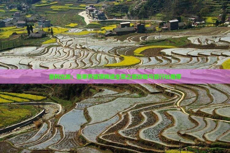 垦利出发：张家界玻璃栈道全景之旅攻略与旅行社推荐