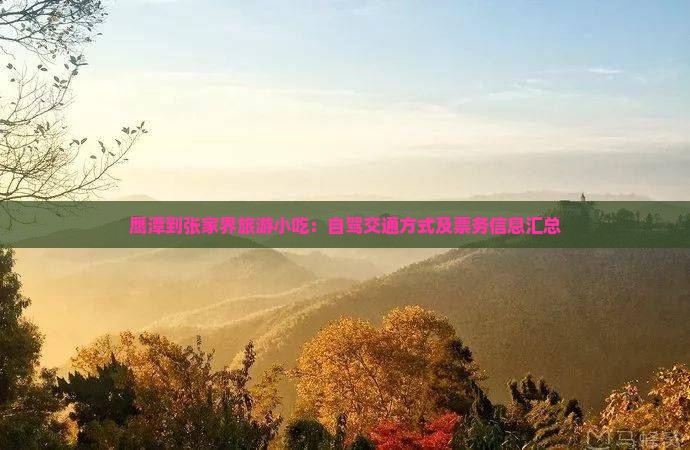 鹰潭到张家界旅游小吃：自驾交通方式及票务信息汇总