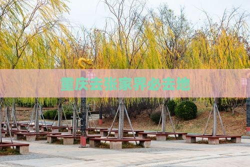 重庆去张家界必去地