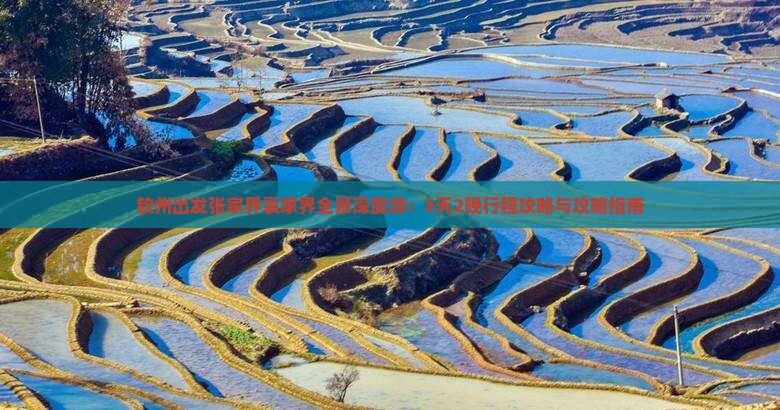 钦州出发张家界袁家界全景深度游：3天2晚行程攻略与攻略指南