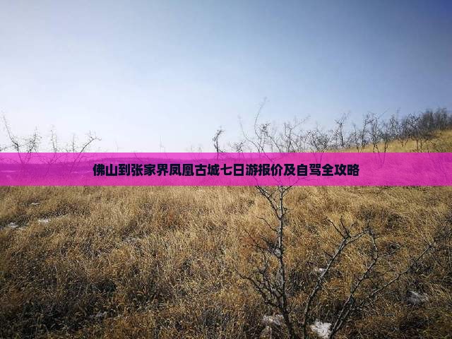 佛山到张家界凤凰古城七日游报价及自驾全攻略