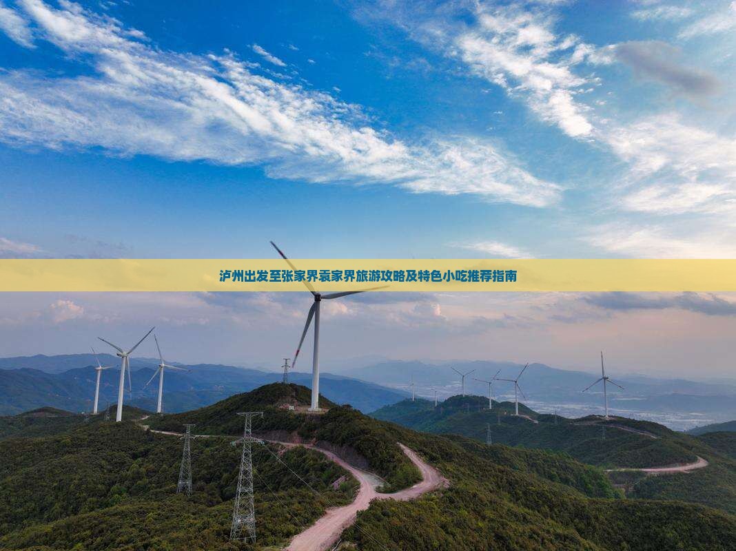 泸州出发至张家界袁家界旅游攻略及特色小吃推荐指南