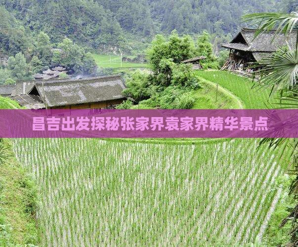 昌吉出发探秘张家界袁家界精华景点