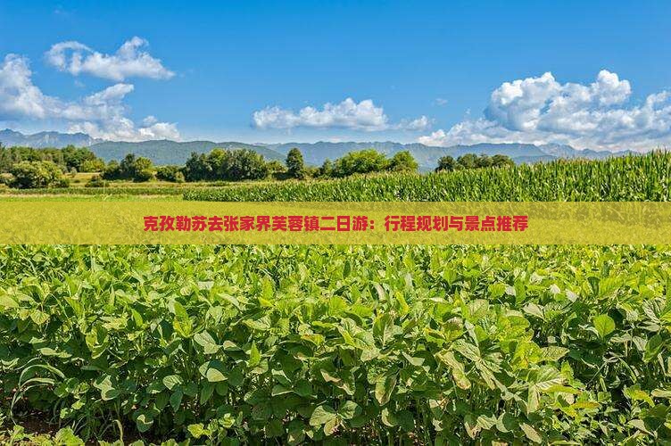 克孜勒苏去张家界芙蓉镇二日游：行程规划与景点推荐
