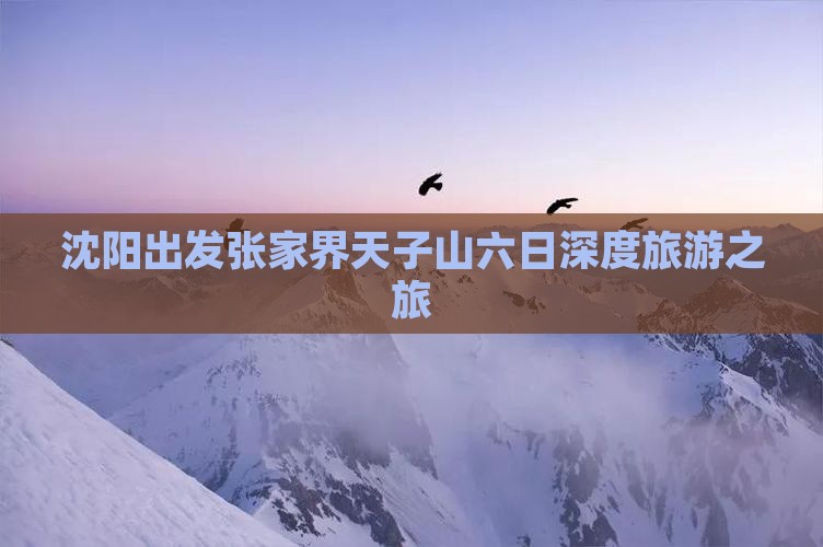 沈阳出发张家界天子山六日深度旅游之旅