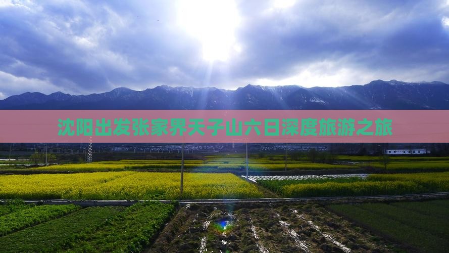 沈阳出发张家界天子山六日深度旅游之旅