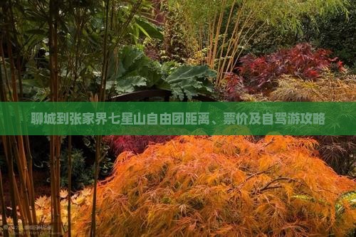 聊城到张家界七星山自由团距离、票价及自驾游攻略