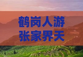 鹤岗人游张家界天门山景点指南