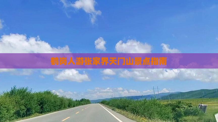 鹤岗人游张家界天门山景点指南