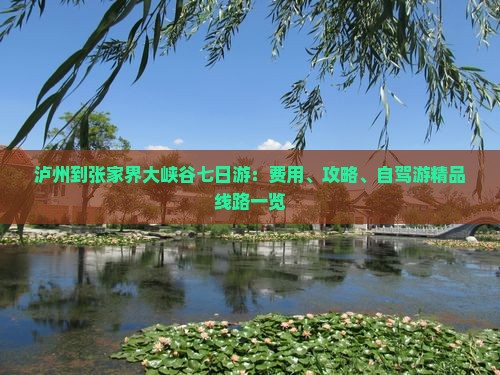 泸州到张家界大峡谷七日游：费用、攻略、自驾游精品线路一览