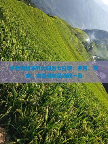 泸州到张家界大峡谷七日游：费用、攻略、自驾游精品线路一览