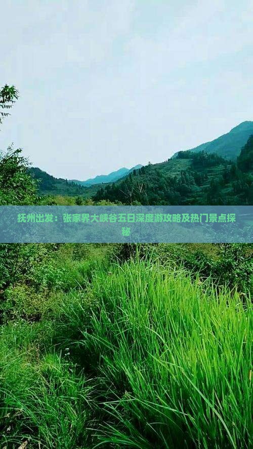 抚州出发：张家界大峡谷五日深度游攻略及热门景点探秘