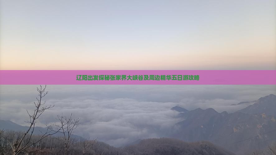 辽阳出发探秘张家界大峡谷及周边精华五日游攻略