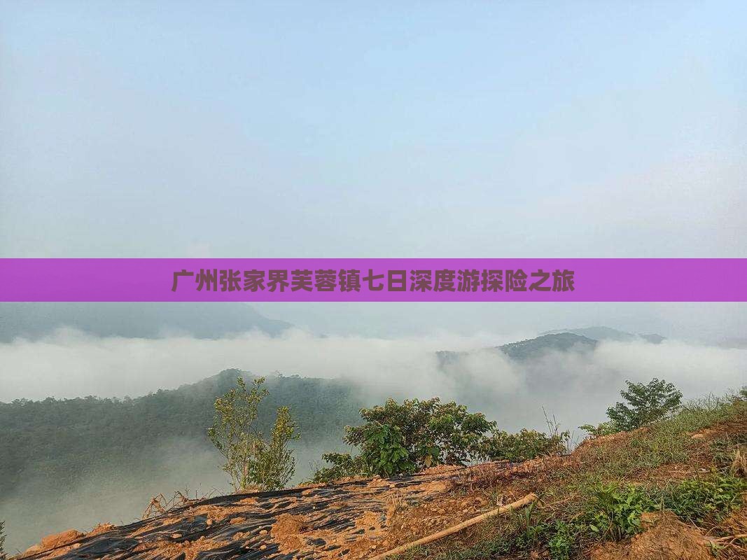 广州张家界芙蓉镇七日深度游探险之旅
