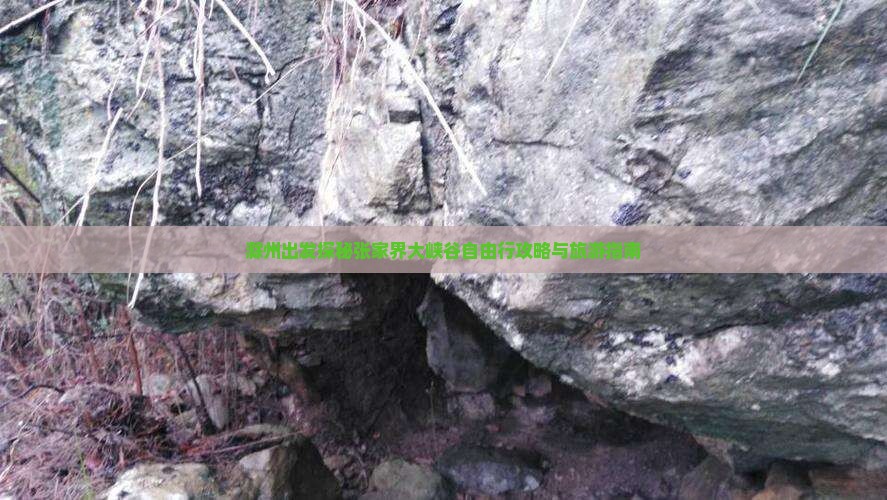 滁州出发探秘张家界大峡谷自由行攻略与旅游指南
