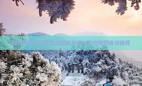 随州到张家界武陵源团体旅游出发攻略团体游推荐