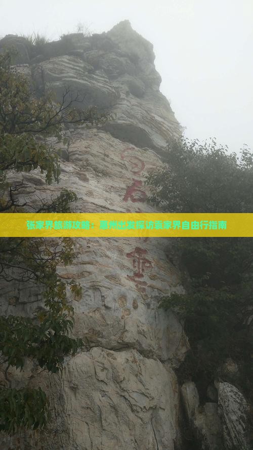 张家界旅游攻略：惠州出发探访袁家界自由行指南