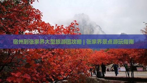 宿州到张家界大型旅游团攻略 | 张家界景点游玩指南