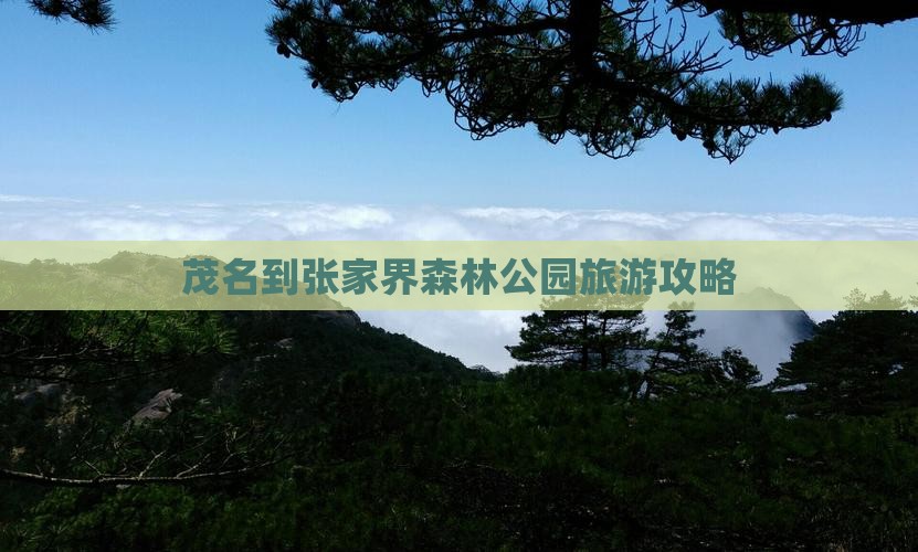 茂名到张家界森林公园旅游攻略