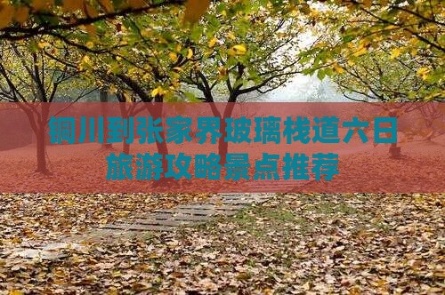 铜川到张家界玻璃栈道六日旅游攻略景点推荐