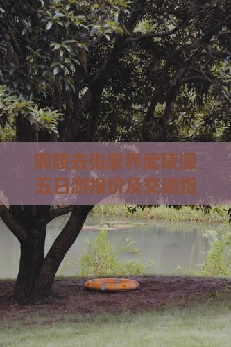 铜陵去张家界武陵源五日游报价及交通指南